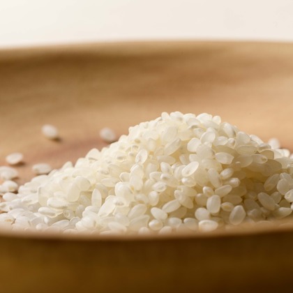 北野隼人が撮影した「:albumName」の写真