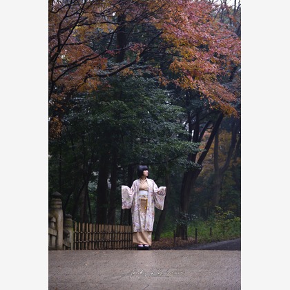 Photo of :albumName taken by Andy Kho