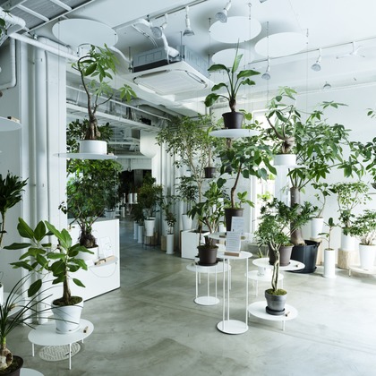 三浦希衣子が撮影した店舗/オフィス/サロン撮影/商品/物撮りの写真