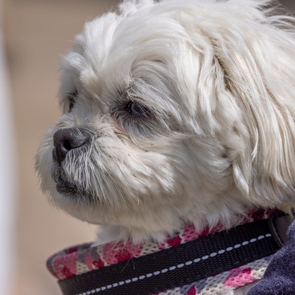 沖山俊樹が撮影した「:albumName」の写真