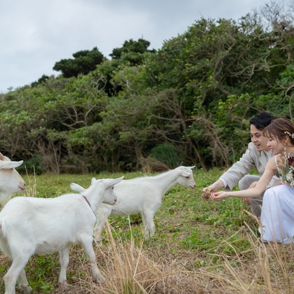 山口写真事務所が撮影した「:albumName」の写真