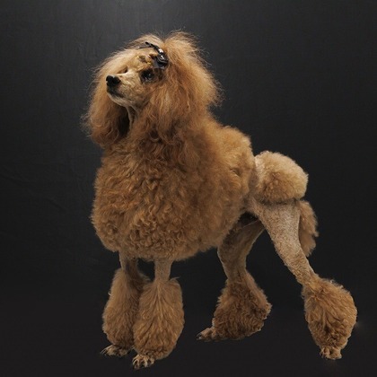 世登理恵が撮影したウェディングや家族、ビジネスの写真