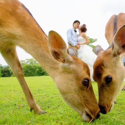 Photo of :albumName taken by 2 of us photography