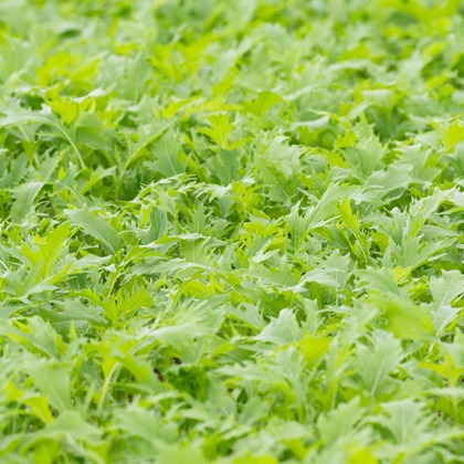 出張撮影TLaboが撮影した店舗/オフィス/サロン撮影/商品/物撮りの写真