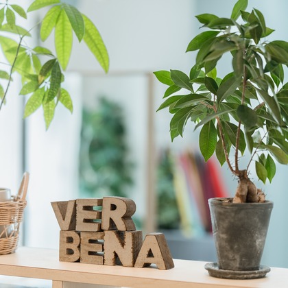 AVSが撮影した「店舗の内観撮影」の写真