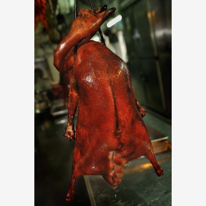 菊地事務所が撮影した「:albumName」の写真