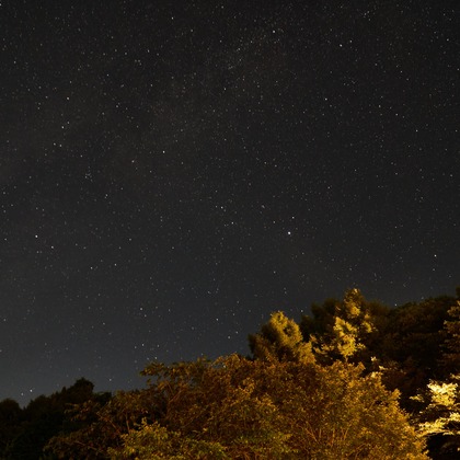 長崎 翔太が撮影したその他の写真
