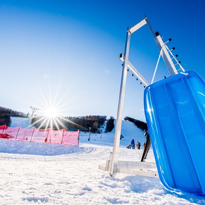 高木勇斗が撮影したその他の写真