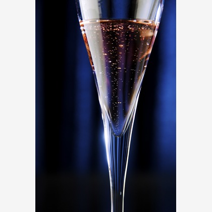 松野葉子が撮影したウェディングや家族、ビジネスの写真