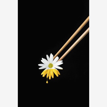 スタジオ11が撮影した「:albumName」の写真