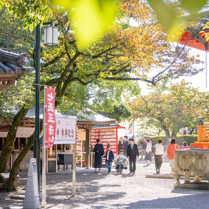 クリエイティブツリーが撮影した「:albumName」の写真