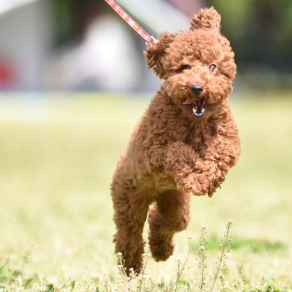 大熊和輝が撮影したウェディングや家族、ビジネスの写真