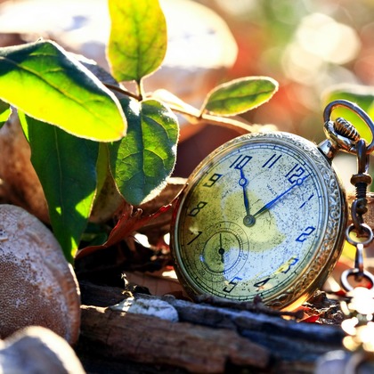 合同会社めろんぱん・ふぉとが撮影した商品/物撮りの写真