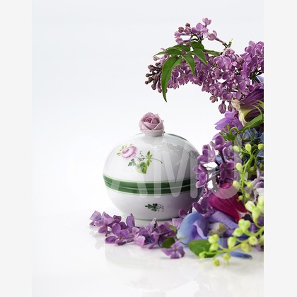 ガムスタジオが撮影した「:albumName」の写真