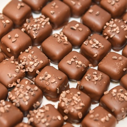 石津祐介が撮影した「:albumName」の写真