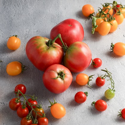 ちずカメラが撮影した料理撮影の写真