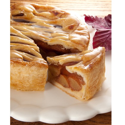 舩津　孝が撮影した「:albumName」の写真