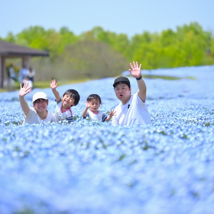 吉村　恵三が撮影した「:albumName」の写真