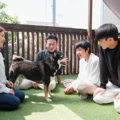 高夏写真店が出張撮影した「家族写真の撮影」の家族写真