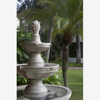 Willow Photoが撮影した「:albumName」の写真