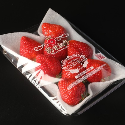 岩坪眞一郎が撮影した商品/物撮りの写真