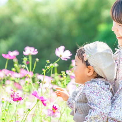 クリエイティブツリーが撮影した「:albumName」の写真