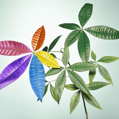 スタジオ11が撮影した「:albumName」の写真