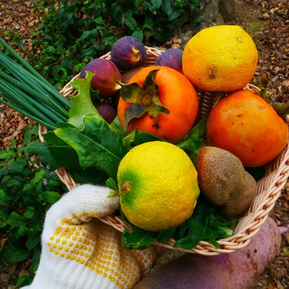 ant10.が撮影したイベント/スナップ撮影の写真