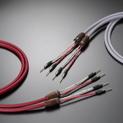 末安 善之が撮影した「:albumName」の写真