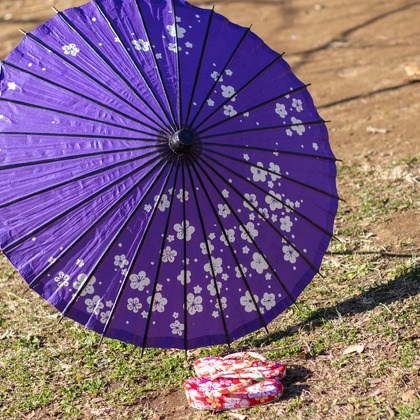 Smile photo misakeが撮影した「:albumName」の写真