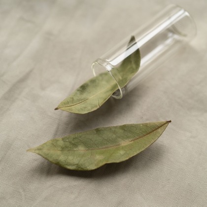 Hamuこども写真館が撮影した「:albumName」の写真