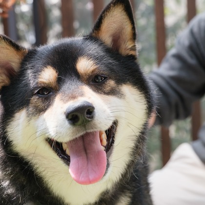 高夏写真店が撮影した家族写真の出張撮影の写真