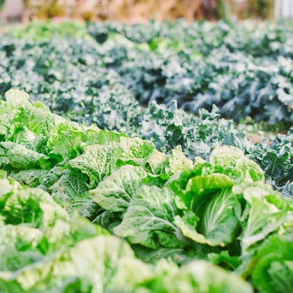 Shun Kanazawaが撮影した「:albumName」の写真