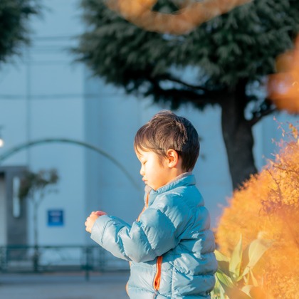 かわもとえつこが撮影した「:albumName」の写真