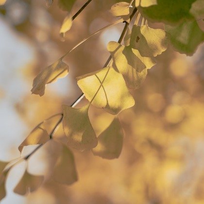 Etographが撮影したイベント/スナップ撮影の写真