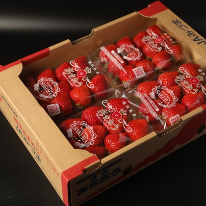 岩坪眞一郎が撮影した商品/物撮りの写真