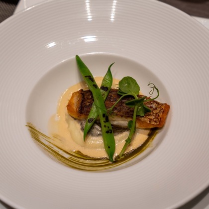 Photo of :albumName taken by ArsTect LLC