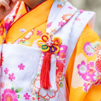 クリエイティブツリーが撮影した「:albumName」の写真