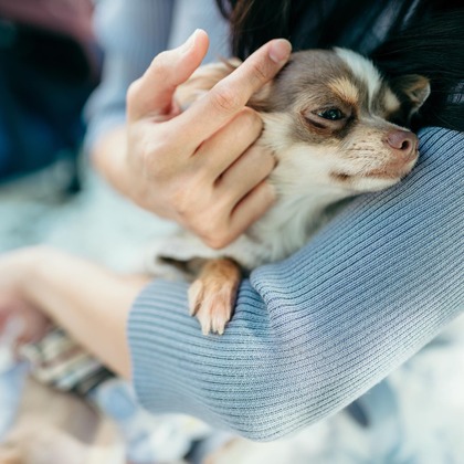 ポートレート沖縄が撮影した「:albumName」の写真