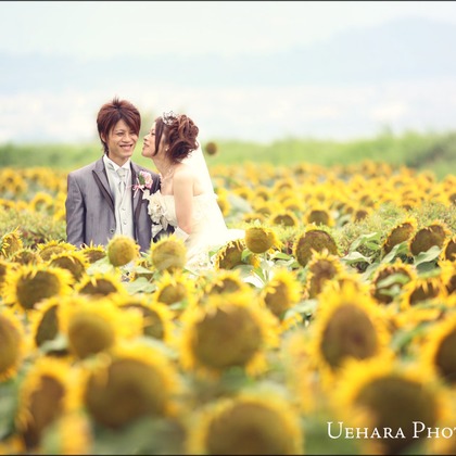 上原フォートスタジオが撮影したウェディングや家族、ビジネスの写真