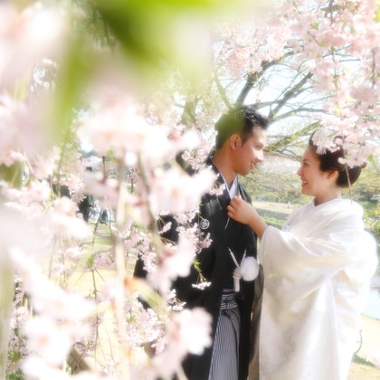 Photo of :albumName taken by Smilehunter