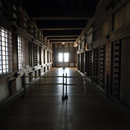 竹迫義文が撮影した「:albumName」の写真