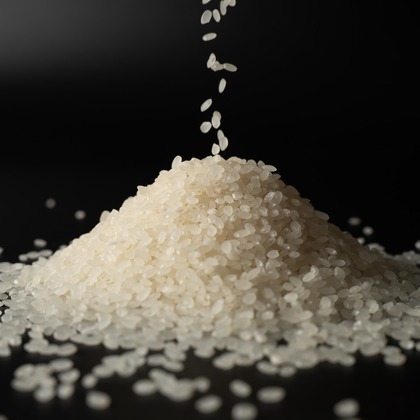 大野颯が撮影したウェディングや家族、ビジネスの写真