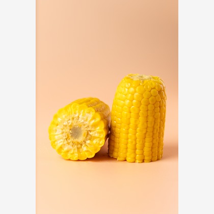 Hiroが撮影した「スタジオ、出張撮影」の写真