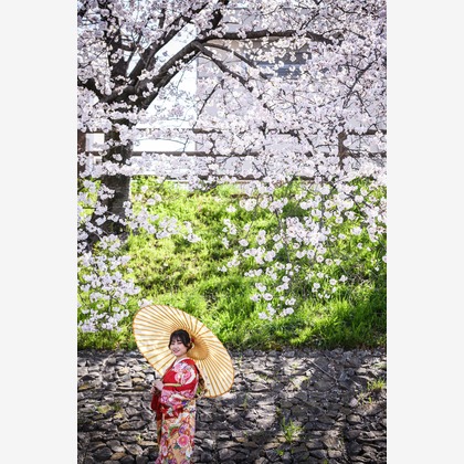 Visual Imagingが撮影した「:albumName」の写真