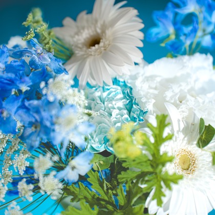 SmileMemoriesPhotoStudioが撮影した「:albumName」の写真