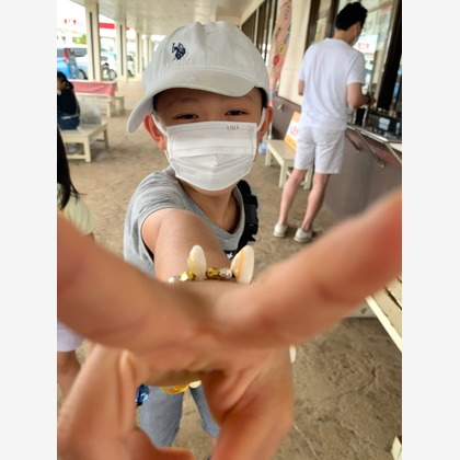 ateliemilyが撮影した「:albumName」の写真