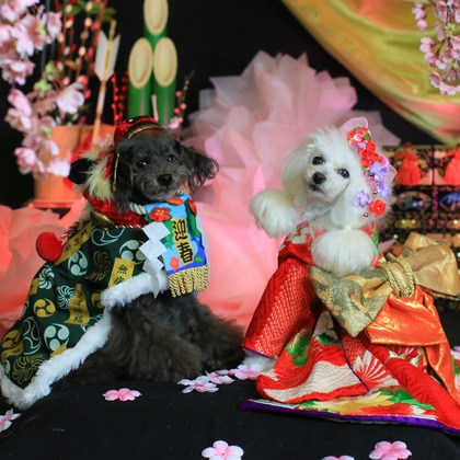 高橋 透（Coo&Sea STUDIO代表）が出張撮影した「お正月撮影会2020@新横浜Coo&Sea STUDIO」の家族写真