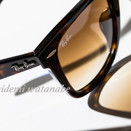 Silver Back Studioが撮影した「:albumName」の写真