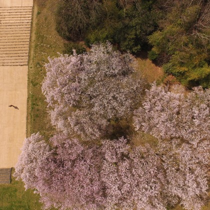 アナハイムエレクトロニクスが撮影したイベント/スナップ撮影の写真